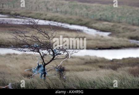 Kunststoff, geblasen von einem Land füllen Standort Seal Sands in der Nähe von Middlesbrough Cleveland UK Stockfoto