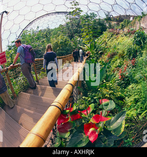 Sehr fisheye-Objektiv Weitwinkelaufnahme des Menschen in feuchten Tropen Biom Kuppel von The Eden Project Cornwall England Stockfoto