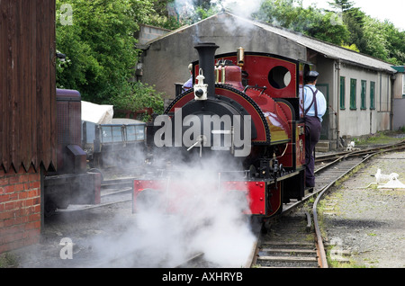 Der Schuppen in Pendre kommen. Stockfoto