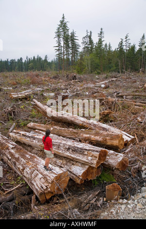 Person mit Baumstämmen in Kahlschlag Hiebfläche Bamfield Vancouver Island Kanada Stockfoto