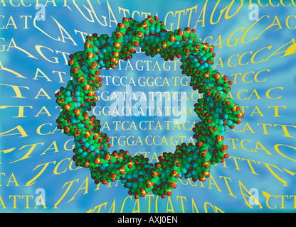 kreisförmige DNA Plasmid verwendet in der Gentherapie und Klonen von Genen Stockfoto