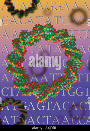 kreisförmige DNA Plasmid verwendet in der Gentherapie und Klonen von Genen Stockfoto