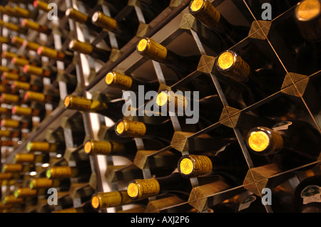 FLASCHEN WEIN UMGEFÜLLT IN EIN KELLER-UK Stockfoto