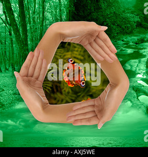 Conceptual recycling symbol Ökologie und Natur Umweltkonzept Stockfoto