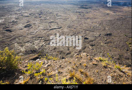 Der Boden des Kilauea Caldera von Kilauea Aussichtspunkt in Hawai ' i Vocanoes National Park aus gesehen Stockfoto