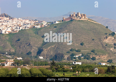 Blick über Olivenhaine, Alora im Landesinneren Costa del Sol Malaga Provinz Spanien Stockfoto