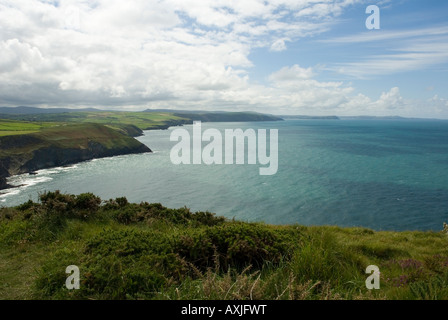 Blick vom Cemaes Head mit Blick auf den Pembrokeshire Coast Path, der West Wales Küste und Cardigan Bay Stockfoto