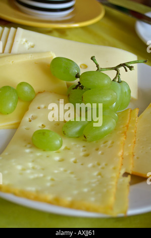 Käse-Platte Stockfoto