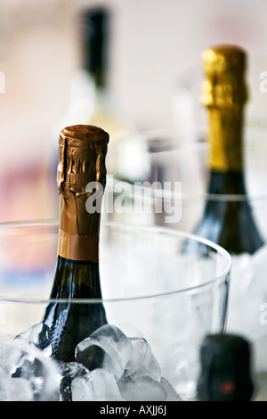 Flasche Champagner mit Eis Stockfoto