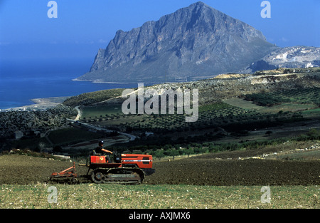 Anbauflächen auf einem Bio-Bauernhof, Valdarice, Sizilien, Italien. Stockfoto