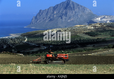 Anbauflächen auf einem Bio-Bauernhof in Valdarice, Sizilien, Italien. Stockfoto