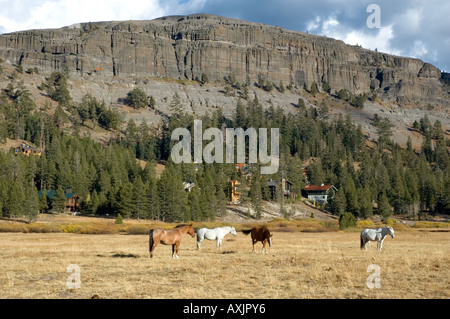 Kirkwood Valley Kalifornien 1 Stockfoto