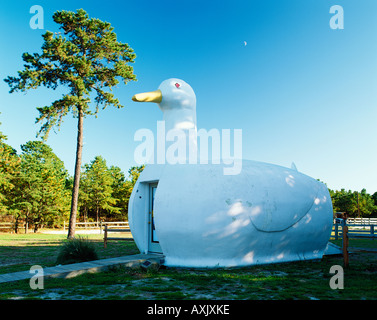 USA NEW YORK LONG ISLAND DIE GROßE ENTE IN DER NÄHE VON HAMPTON BAYS Stockfoto