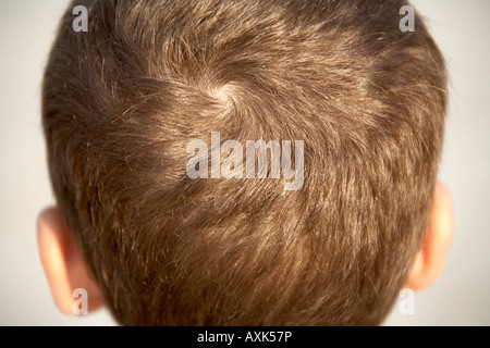 Wirbel Spiralmuster von Haaren auf dem Rücken eines jungen Kindes s Kopf NAOH Stockfoto