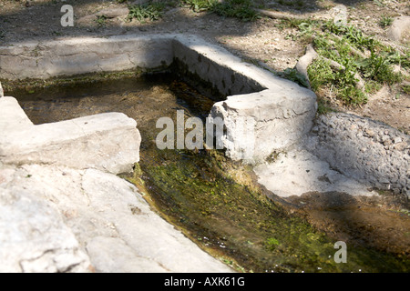 Wasser läuft durch Bewässerung-Kanal im Frühjahr in nationale Gärten Athen oder Athini Griechenland Stockfoto
