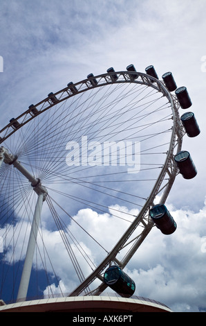Neue Singapore Flyer Stockfoto