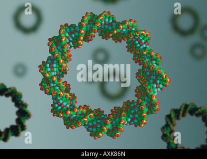 kreisförmige DNA Plasmid verwendet in der Gentherapie und Klonen von Genen Stockfoto