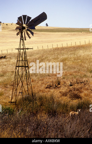 Eine windgetriebenen Wasserpumpe steht in einem Sonne gebackenen Feld einen typischen Anblick im australischen Outback. Stockfoto