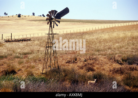 Eine windgetriebenen Wasserpumpe steht in einem Sonne gebackenen Feld einen typischen Anblick im australischen Outback. Stockfoto