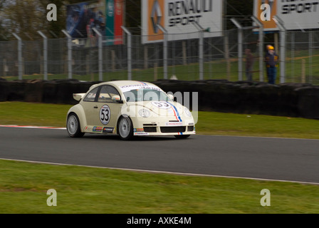 Volkswagen Beetle RSi Rennwagen in Volkswagen Racing Cup am Oulton Park Autorennen Schaltung Cheshire England Großbritannien Stockfoto