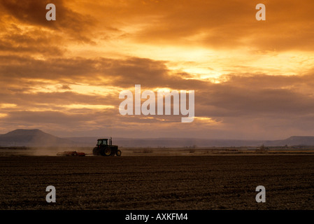 Eine Traktor-Feder Bodenbearbeitung ein Feld im Canyon County Idaho Stockfoto