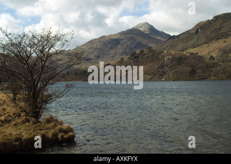 Llyn Gwynant in Snowdonia Nord-Wales, an einem kalten Wintertag mit Blick auf Yr Aran Stockfoto