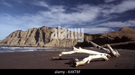 Tolaga Bay in der Nordinsel von Neuseeland Stockfoto