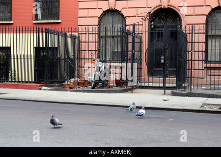 Vorgarten auf St Marks Platz East Village in New York City USA Stockfoto