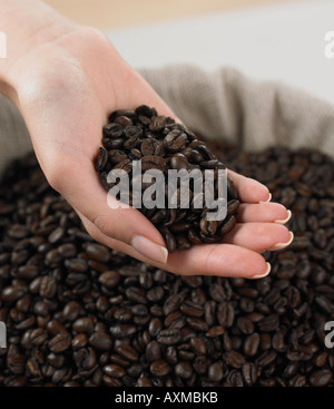 Nahaufnahme von Frau s Hand mit Kaffeebohnen Stockfoto