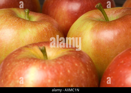 Nahaufnahme von Braeburn Äpfel Apfel frisches Obst Obst Stockfoto