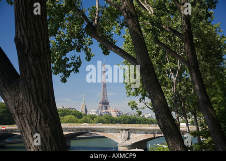 Blick durch die Bäume zum Eiffelturm Stockfoto