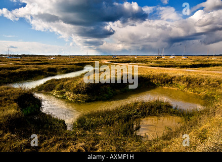 Die Marschen in Tollesbury Marina in Essex Stockfoto