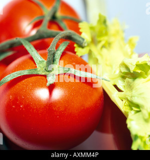 Tomaten Stockfoto