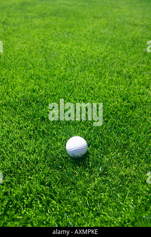 Golfball auf dem grünen Rasen im freien Stockfoto