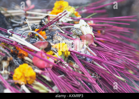 Nahaufnahme von Räucherstäbchen Stockfoto