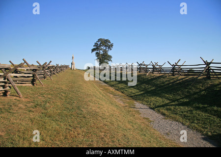 Auf der Suche nach Südosten entlang der Sunken Road (Bloody Lane) in Antietam National Battlefield, Sharpsburg, Maryland. Stockfoto