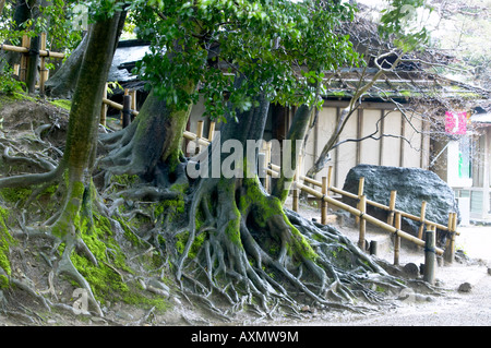 FRÜHLING IM KENROKUEN GARTEN, KANAZAWA, JAPAN. ALLGEMEIN GILT ALS EINER DER DREI SCHÖNSTEN GÄRTEN IN JAPAN. Stockfoto
