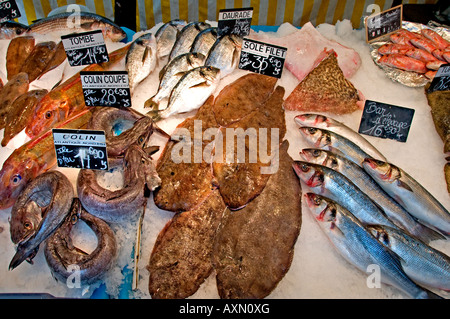 Poissonnerie Quoniam Fischhändler Rue Mouffetard in Paris Französisch Stockfoto