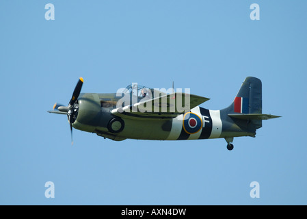 Grumman F4F Wildcat im Flug während französische Oldtimer Airshow in La Ferte Alais, Frankreich- Stockfoto