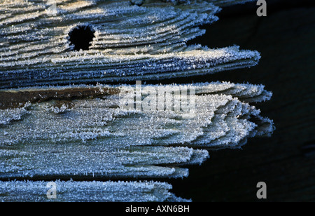 Frost auf einem alten Stück Holz. Stockfoto