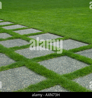 steinerne Fußweg durch Rasen Stockfoto