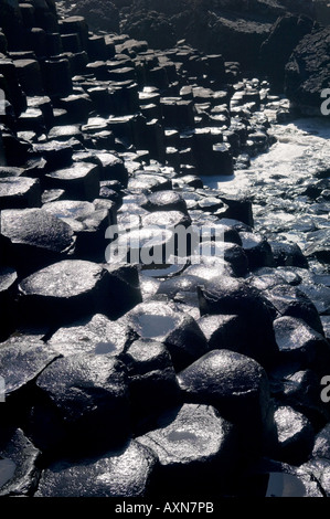 Der Giants Causeway in der Nähe von Bushmills, County Antrim, Irland. Sechseckige Basaltfelssäulen des Grand Causeway Stockfoto