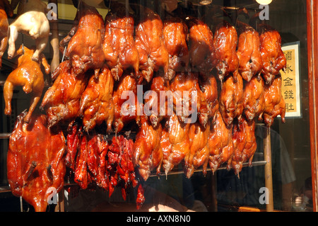 Gebratene Enten in Tai Kai Lok Chinarestaurant Fenster in der Gerrard Street in London Chinatown Stockfoto