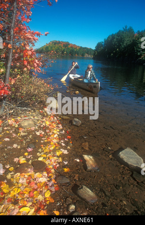 Frauen paddeln Kanu im Algonquin Provincial Park in Kanada Stockfoto