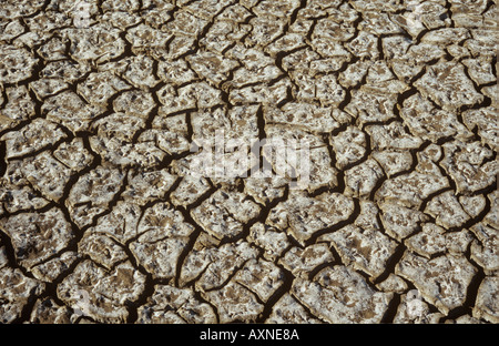 Getrocknet, rissige Erde oder Schmutz Stockfoto