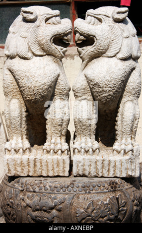 amüsante Nebeneinanderstellung macht Löwenhund Gesprächsstoff in Shanghai, China Stockfoto