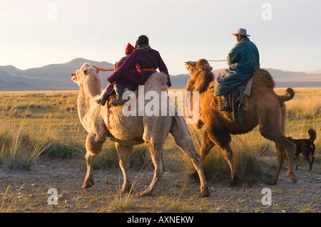 Eine Familie auf dem Weg zur Schule mit dem Kamel. Pferde und Kamele sind die Art des Reisens und eine Quelle von stolz in Khovd Mongolei Stockfoto