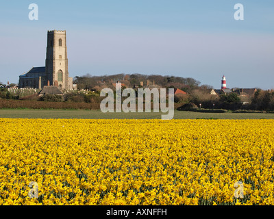 ST. MARYS KIRCHE HAPPISBURGH MIT BLÜHENDEN NARZISSEN BLÜTEN NORFOLK ENGLAND UK Stockfoto