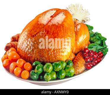 WEIHNACHTEN / THANKSGIVING-TRUTHAHN AUSSCHNEIDEN Stockfoto