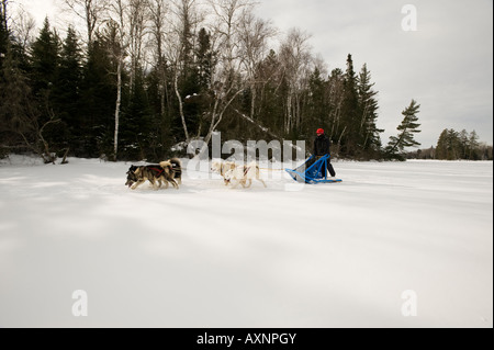 EIN MUSHER UND HUND TEAM BREI ÜBER EINEN GEFRORENEN SEE Stockfoto